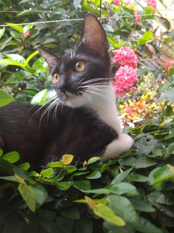 Oxe Uai Hostel Porto Seguro Zewnętrze zdjęcie