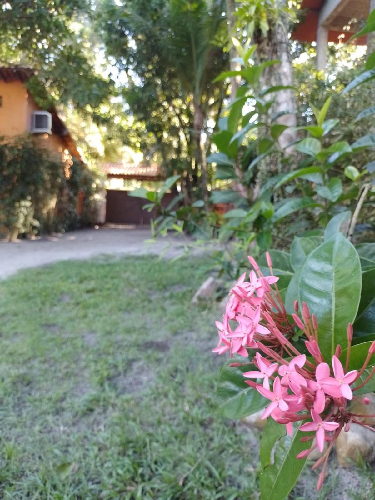Oxe Uai Hostel Porto Seguro Zewnętrze zdjęcie